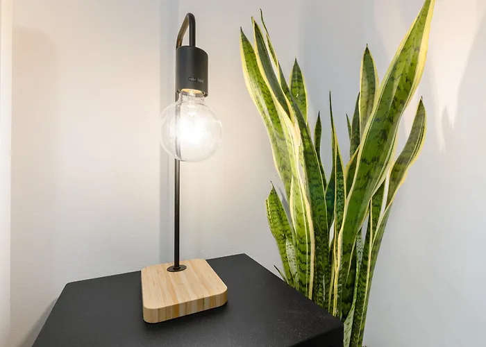 8 Mins From San Marco, Experience Authentic * ヴェネツィア